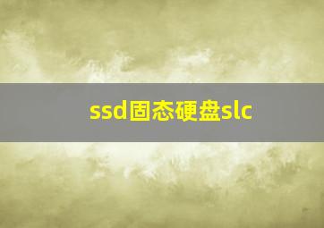 ssd固态硬盘slc