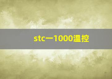 stc一1000温控