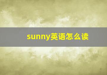 sunny英语怎么读