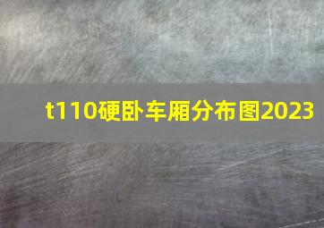 t110硬卧车厢分布图2023