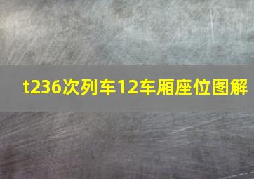 t236次列车12车厢座位图解