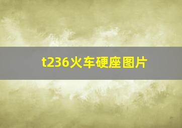 t236火车硬座图片