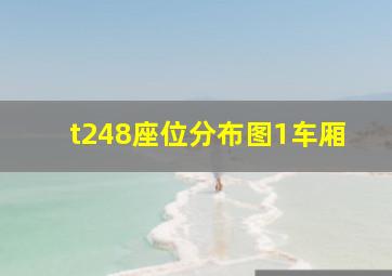 t248座位分布图1车厢