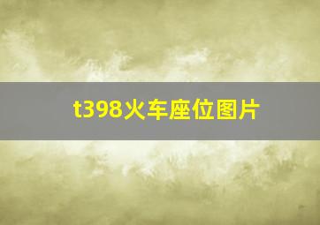 t398火车座位图片