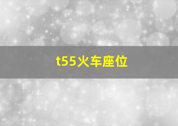 t55火车座位