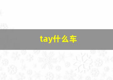 tay什么车