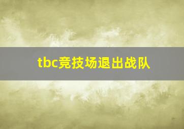 tbc竞技场退出战队