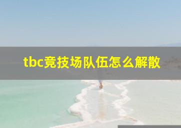 tbc竞技场队伍怎么解散