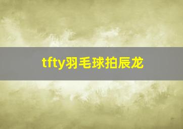 tfty羽毛球拍辰龙