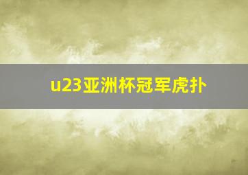 u23亚洲杯冠军虎扑