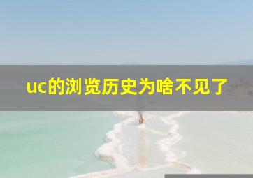 uc的浏览历史为啥不见了