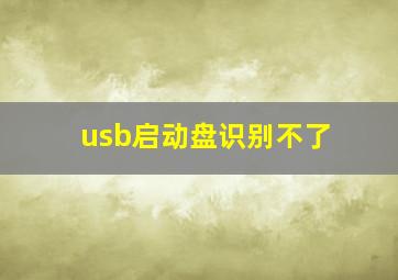 usb启动盘识别不了