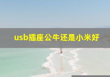 usb插座公牛还是小米好