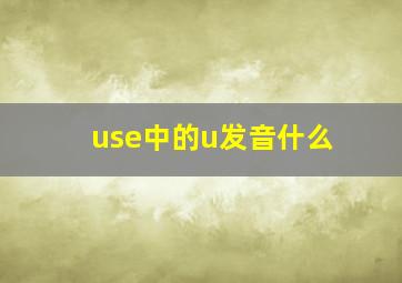 use中的u发音什么