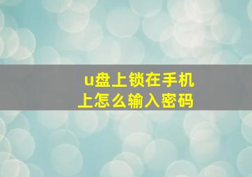 u盘上锁在手机上怎么输入密码