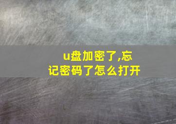 u盘加密了,忘记密码了怎么打开