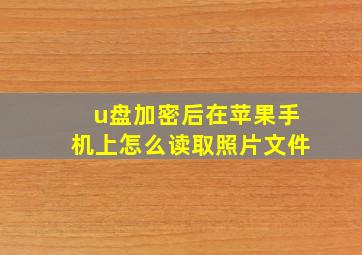 u盘加密后在苹果手机上怎么读取照片文件