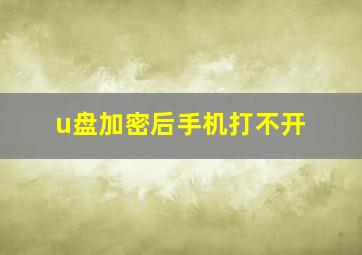 u盘加密后手机打不开