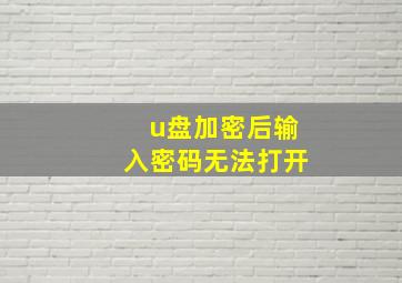 u盘加密后输入密码无法打开