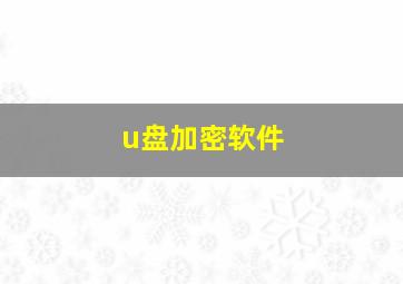 u盘加密软件