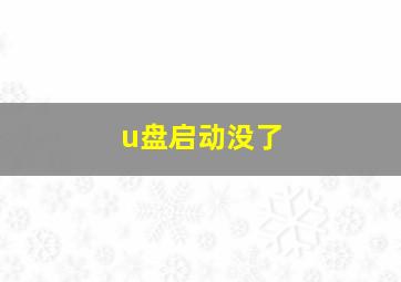 u盘启动没了