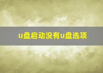 u盘启动没有u盘选项