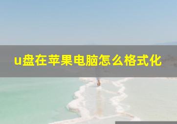 u盘在苹果电脑怎么格式化