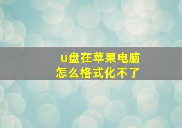 u盘在苹果电脑怎么格式化不了