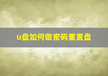 u盘如何做密码重置盘