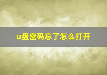 u盘密码忘了怎么打开