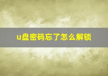 u盘密码忘了怎么解锁