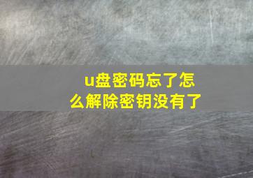 u盘密码忘了怎么解除密钥没有了