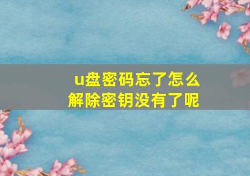 u盘密码忘了怎么解除密钥没有了呢