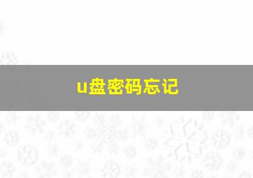 u盘密码忘记