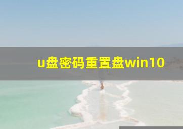 u盘密码重置盘win10