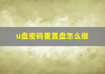 u盘密码重置盘怎么做