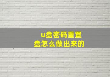 u盘密码重置盘怎么做出来的