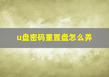 u盘密码重置盘怎么弄