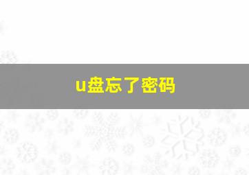 u盘忘了密码