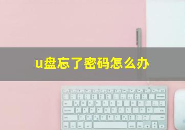 u盘忘了密码怎么办