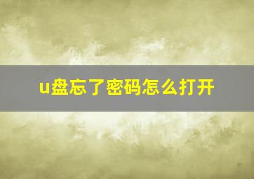 u盘忘了密码怎么打开