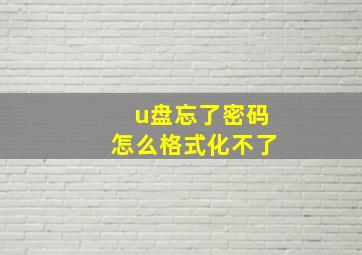 u盘忘了密码怎么格式化不了