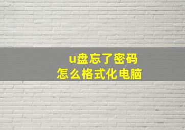 u盘忘了密码怎么格式化电脑