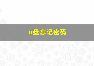 u盘忘记密码