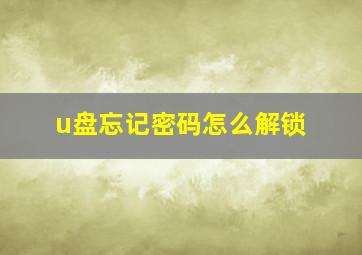 u盘忘记密码怎么解锁