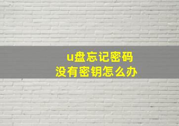 u盘忘记密码没有密钥怎么办