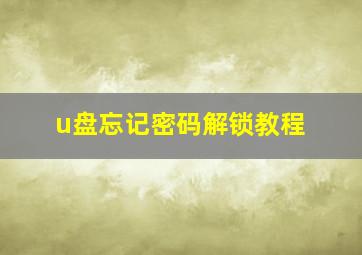 u盘忘记密码解锁教程