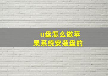 u盘怎么做苹果系统安装盘的