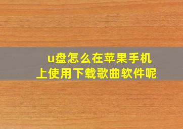 u盘怎么在苹果手机上使用下载歌曲软件呢