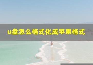 u盘怎么格式化成苹果格式